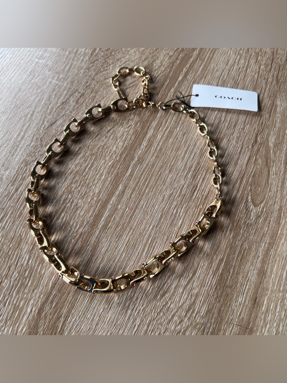 Coach Chunky Signature Chain Link Necklace - Picture 2 of 6